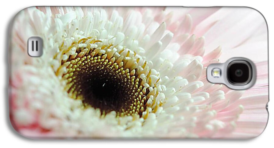 Pink and White Daisy - Phone Case