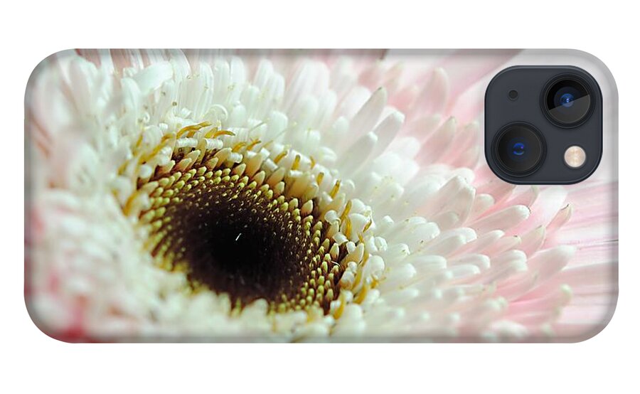 Pink and White Daisy - Phone Case