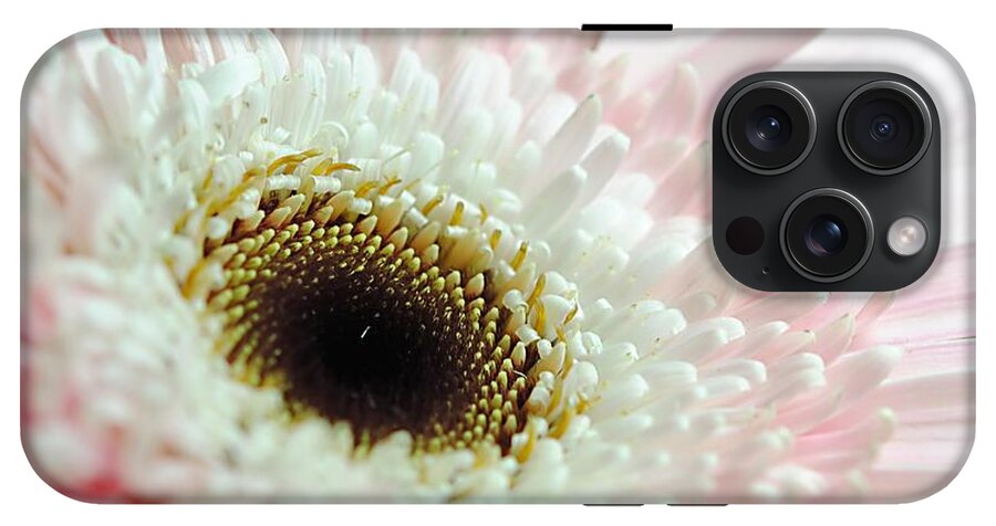 Pink and White Daisy - Phone Case