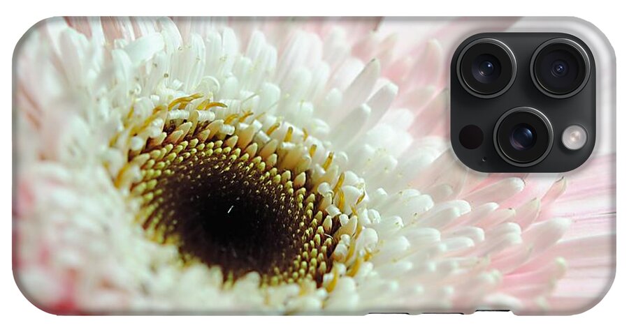Pink and White Daisy - Phone Case