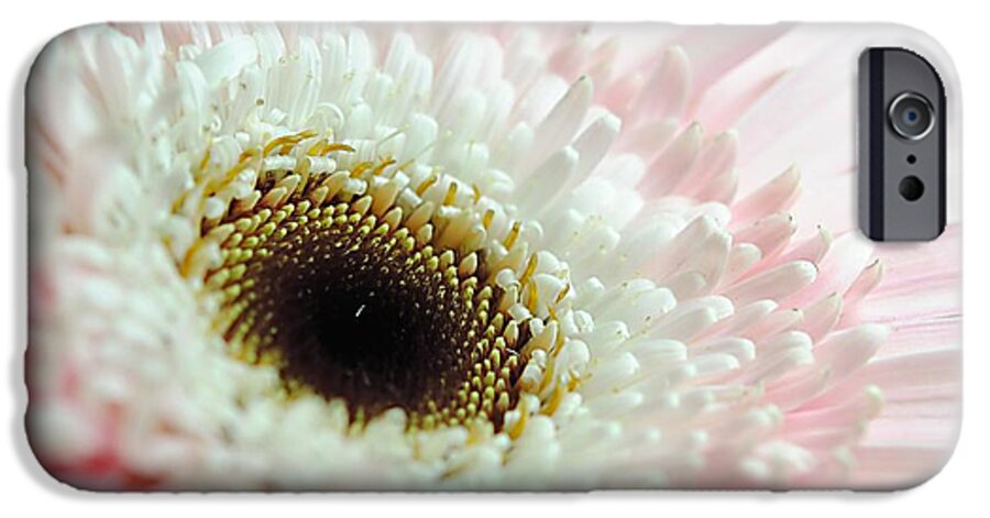 Pink and White Daisy - Phone Case