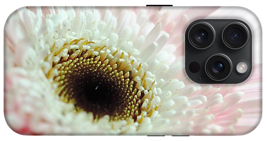 Pink and White Daisy - Phone Case