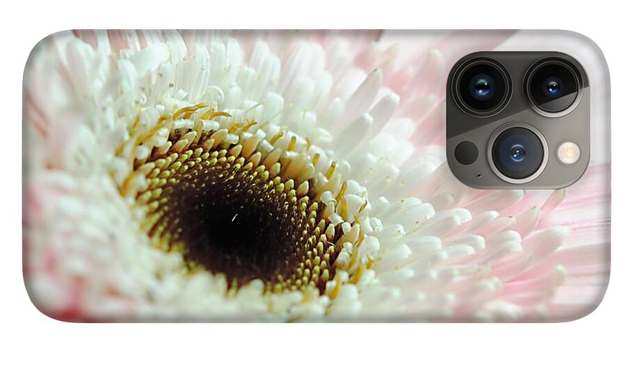Pink and White Daisy - Phone Case