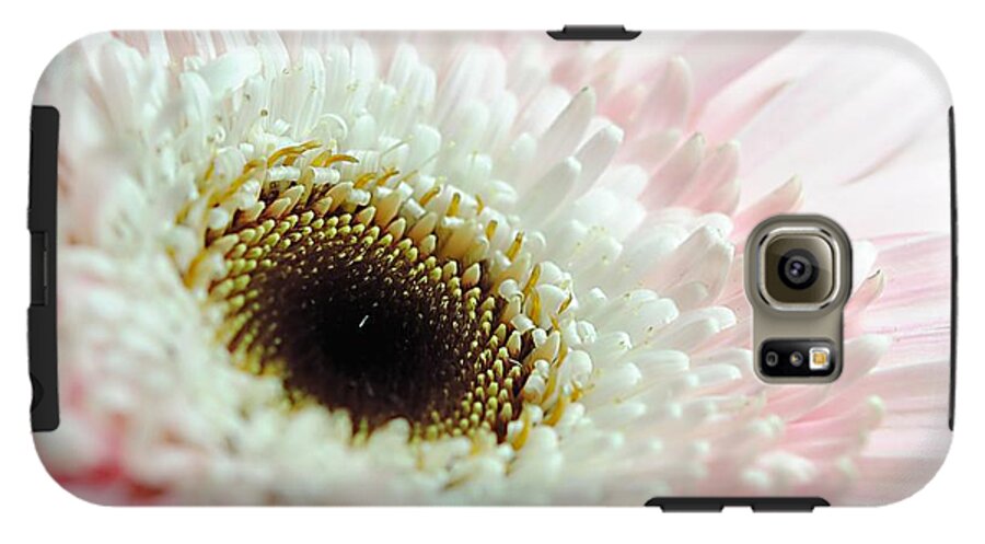 Pink and White Daisy - Phone Case
