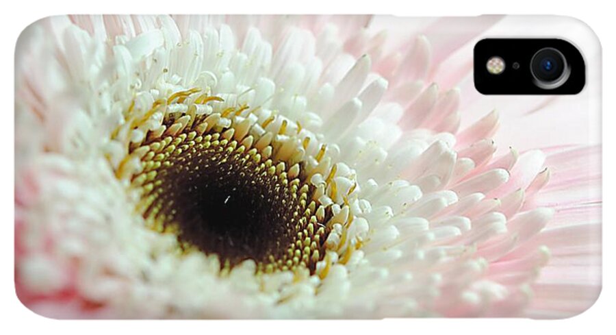 Pink and White Daisy - Phone Case