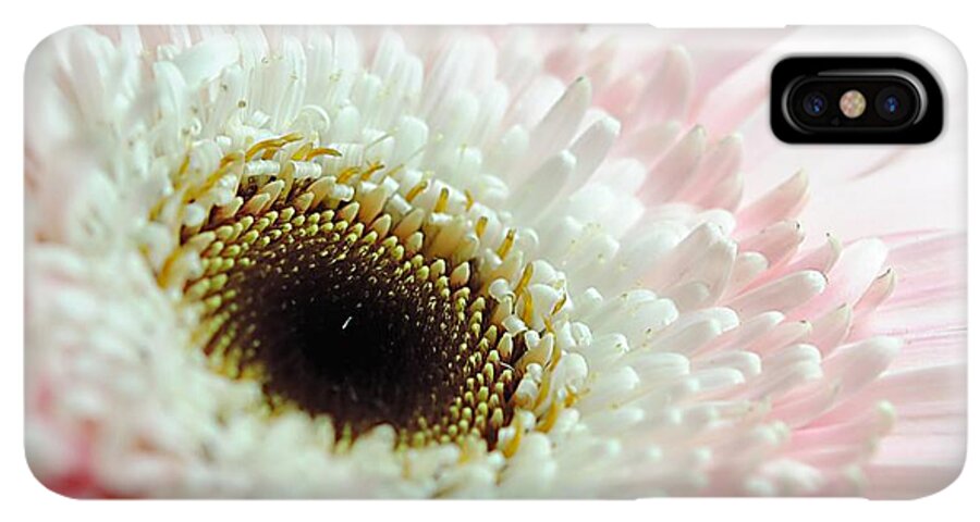 Pink and White Daisy - Phone Case