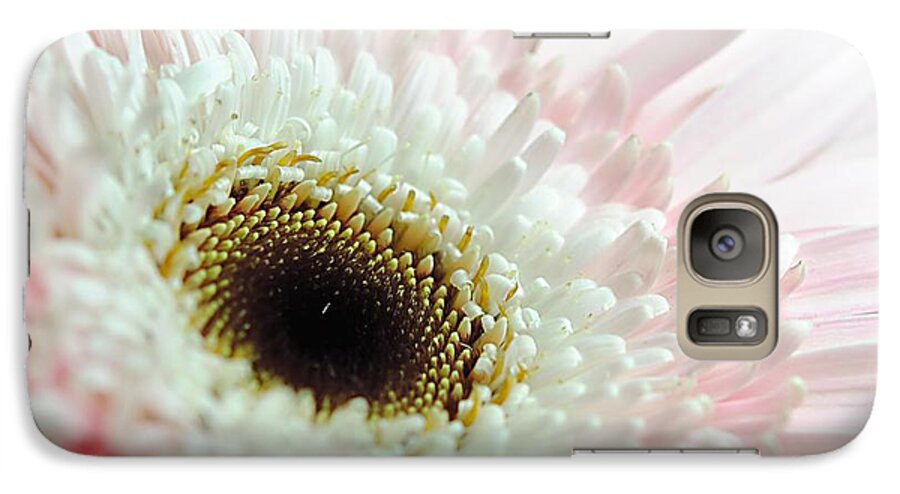 Pink and White Daisy - Phone Case