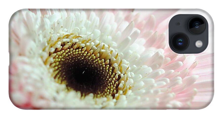 Pink and White Daisy - Phone Case