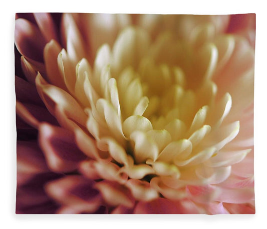 Pink and White Flower - Blanket