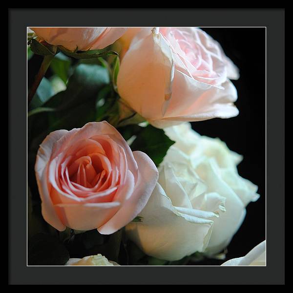 Pink and White Roses Bouquet - Framed Print