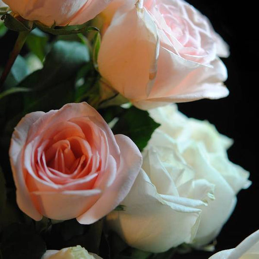 Pink and White Roses Bouquet - Art Print