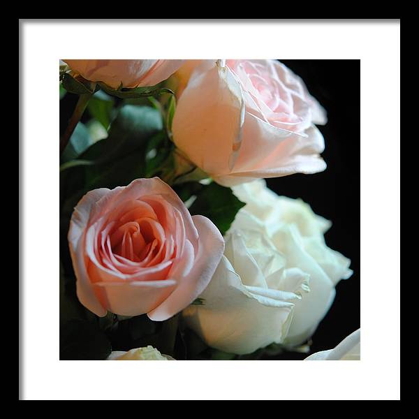 Pink and White Roses Bouquet - Framed Print