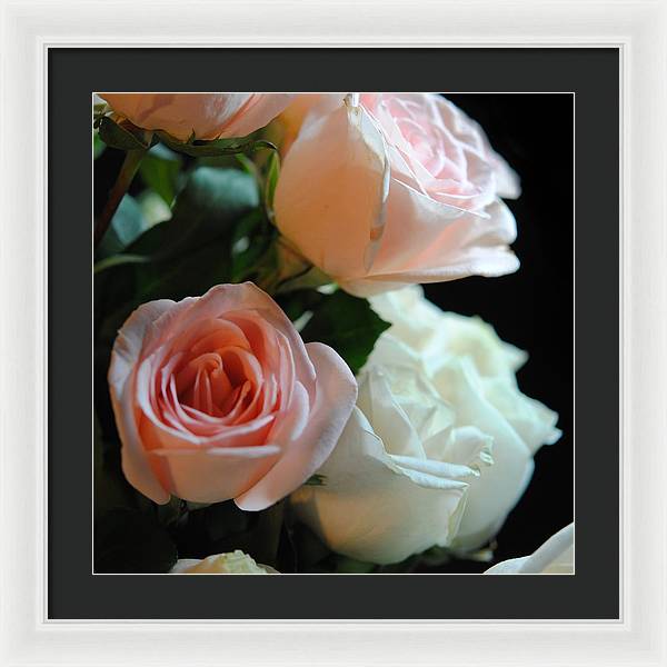 Pink and White Roses Bouquet - Framed Print