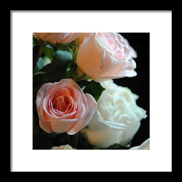 Pink and White Roses Bouquet - Framed Print