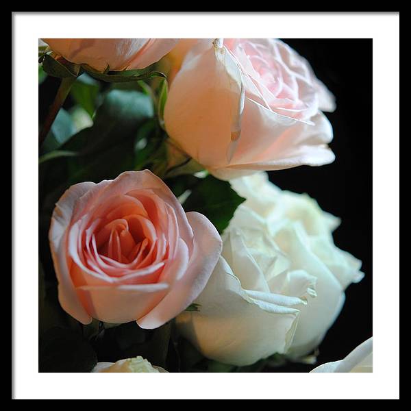 Pink and White Roses Bouquet - Framed Print