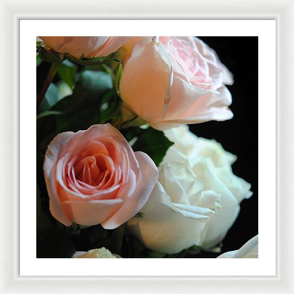 Pink and White Roses Bouquet - Framed Print