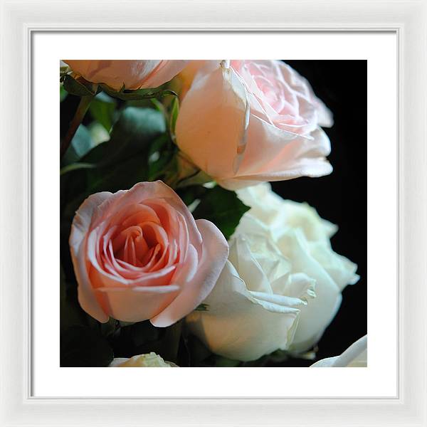 Pink and White Roses Bouquet - Framed Print
