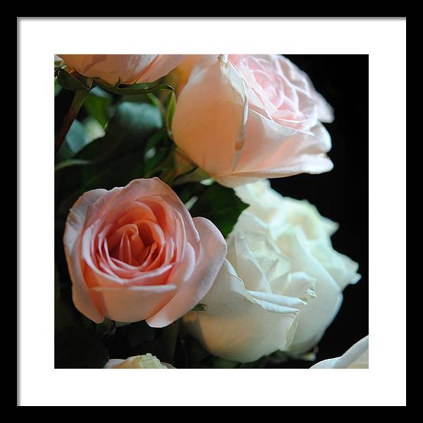 Pink and White Roses Bouquet - Framed Print