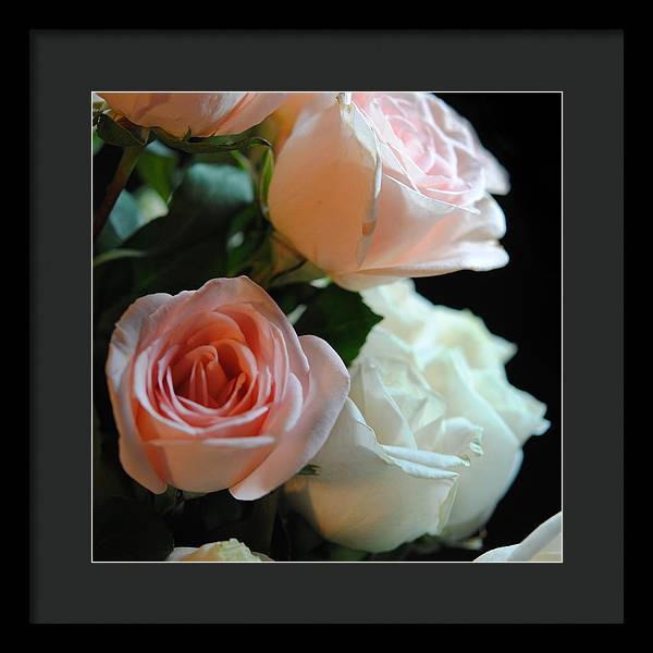 Pink and White Roses Bouquet - Framed Print