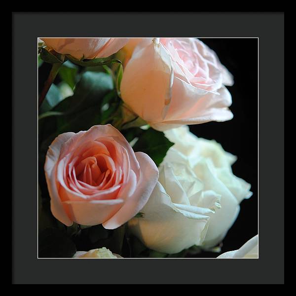 Pink and White Roses Bouquet - Framed Print