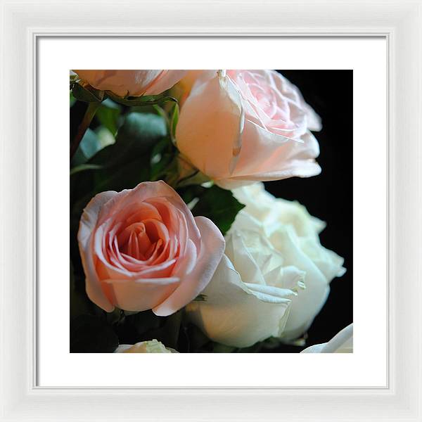Pink and White Roses Bouquet - Framed Print