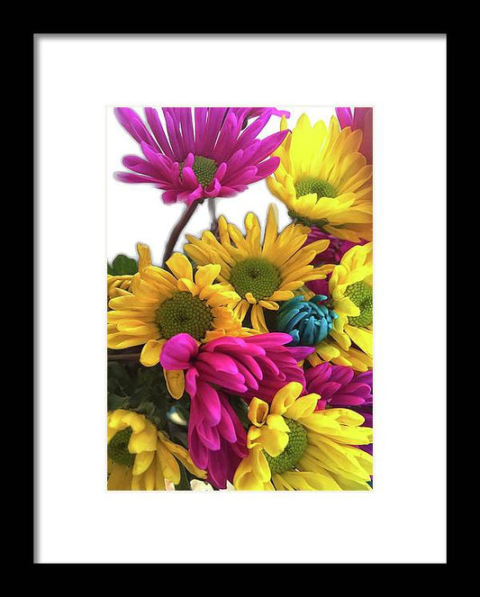 Pink and Yellow Daisies - Framed Print