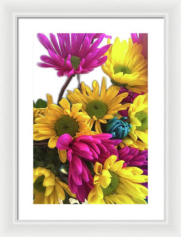 Pink and Yellow Daisies - Framed Print