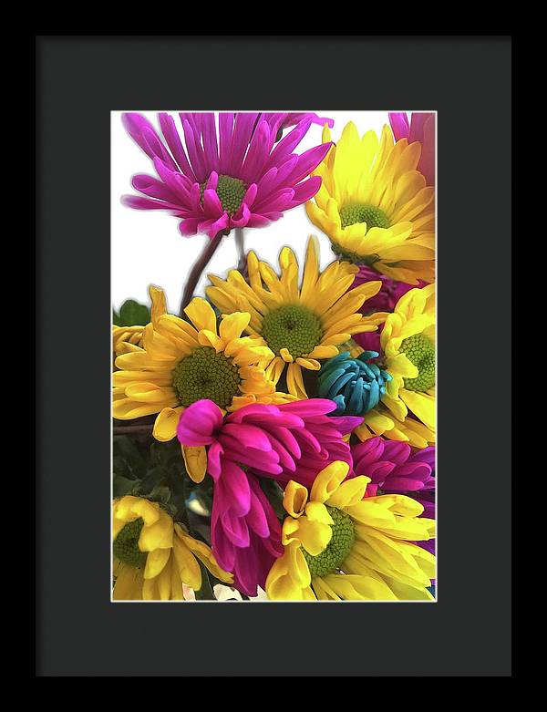 Pink and Yellow Daisies - Framed Print