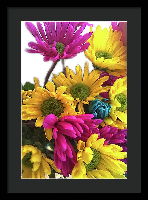 Pink and Yellow Daisies - Framed Print