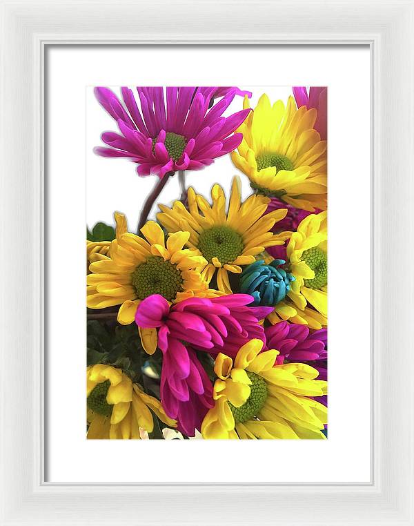 Pink and Yellow Daisies - Framed Print