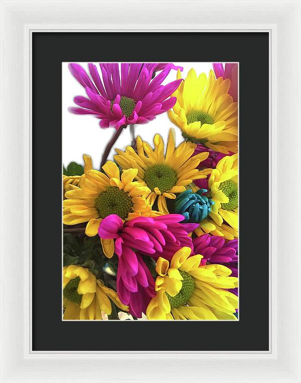 Pink and Yellow Daisies - Framed Print