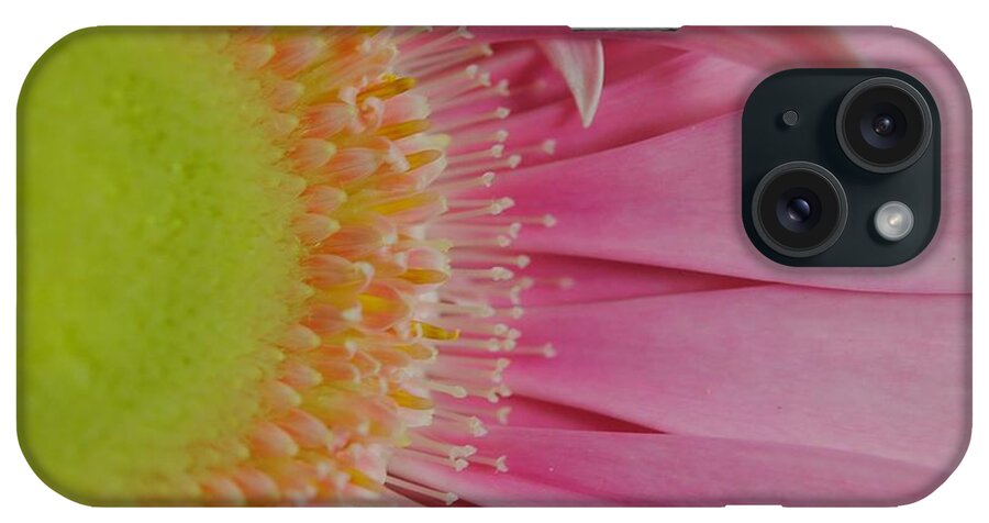 Pink and Yellow Daisy - Phone Case