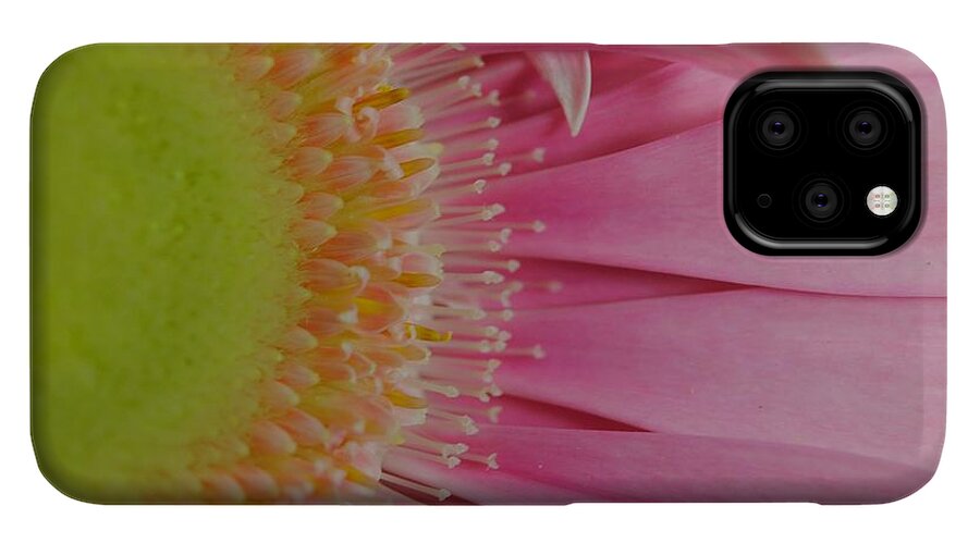 Pink and Yellow Daisy - Phone Case