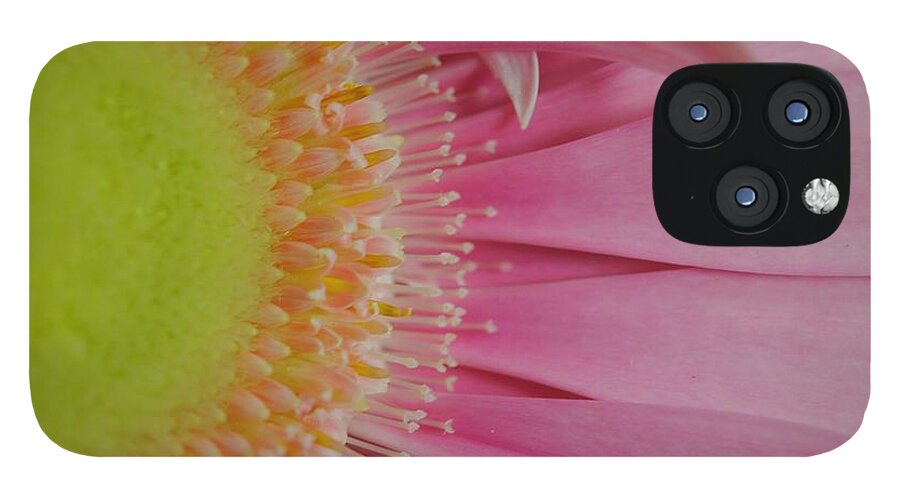 Pink and Yellow Daisy - Phone Case