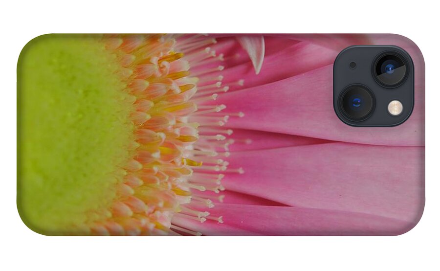 Pink and Yellow Daisy - Phone Case