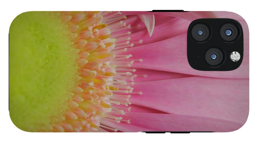 Pink and Yellow Daisy - Phone Case