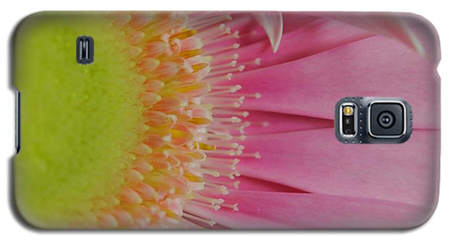 Pink and Yellow Daisy - Phone Case