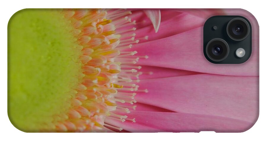 Pink and Yellow Daisy - Phone Case