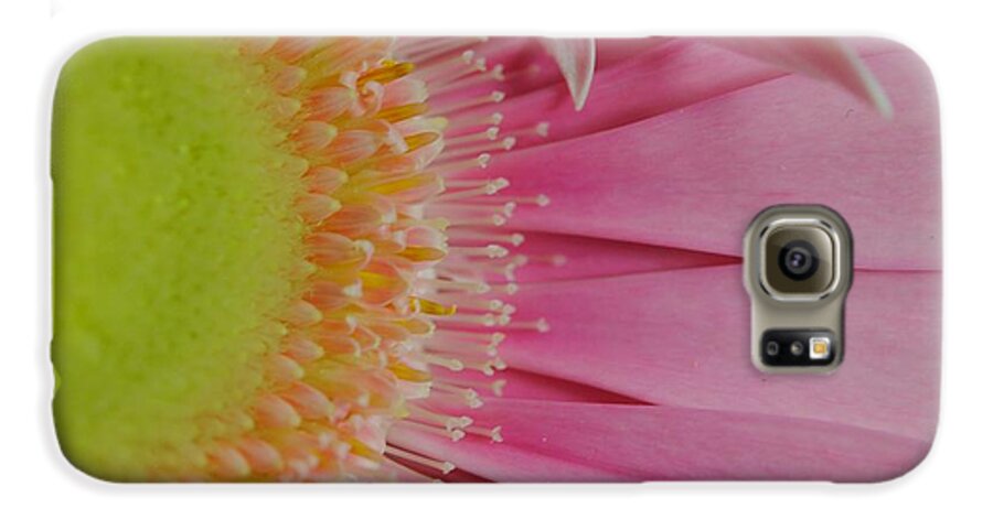 Pink and Yellow Daisy - Phone Case