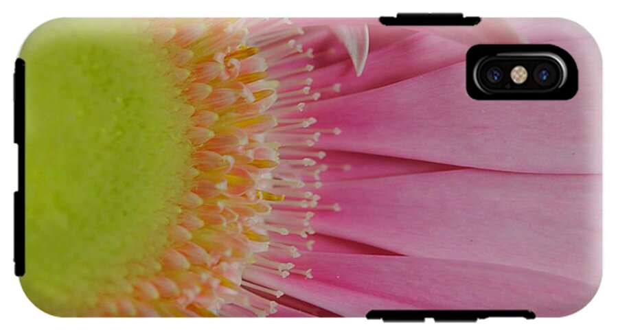 Pink and Yellow Daisy - Phone Case