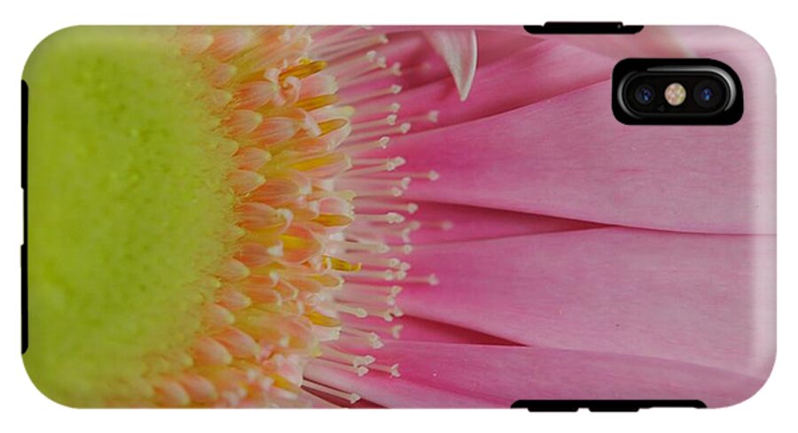 Pink and Yellow Daisy - Phone Case