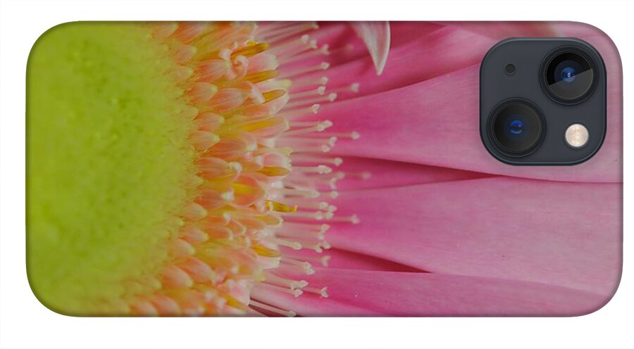 Pink and Yellow Daisy - Phone Case