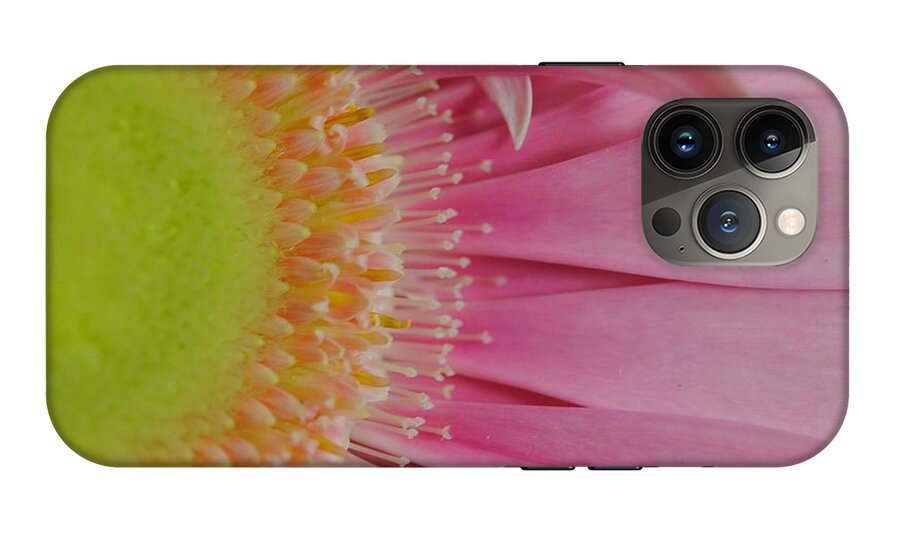 Pink and Yellow Daisy - Phone Case