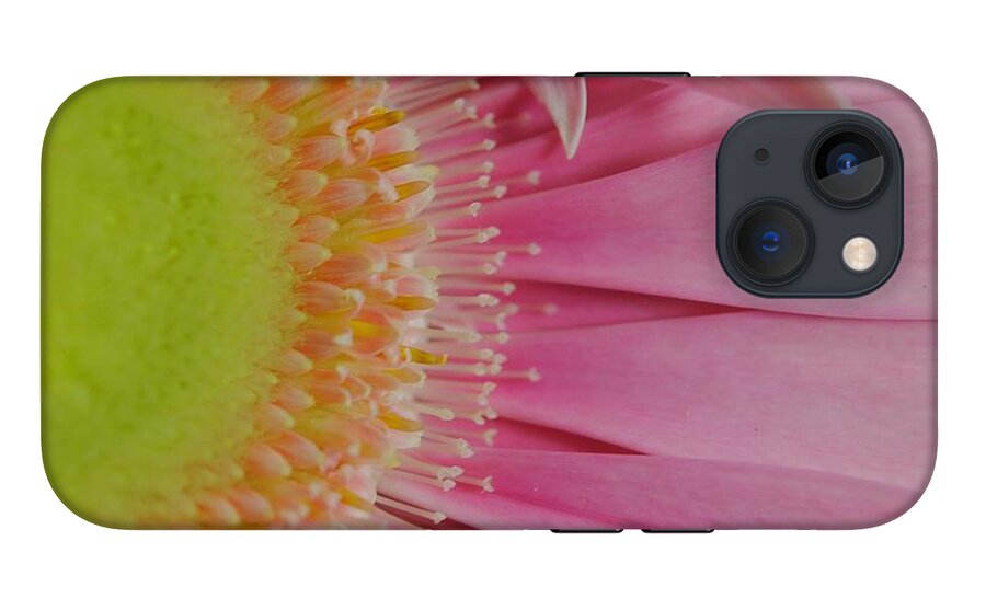 Pink and Yellow Daisy - Phone Case
