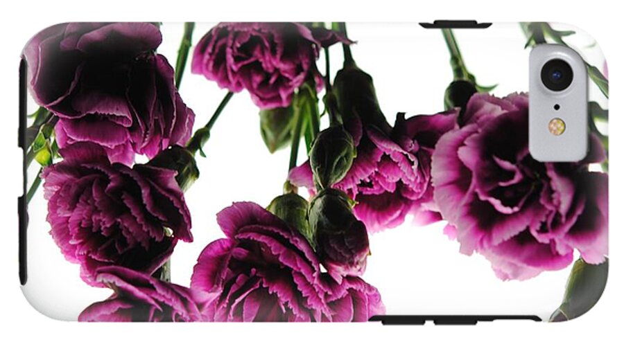 Pink Carnations on White - Phone Case