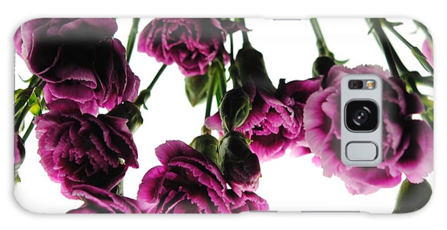 Pink Carnations on White - Phone Case