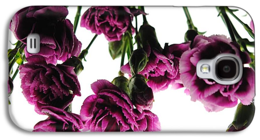 Pink Carnations on White - Phone Case