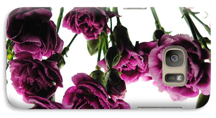 Pink Carnations on White - Phone Case