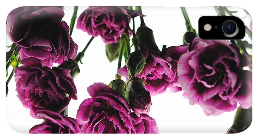 Pink Carnations on White - Phone Case