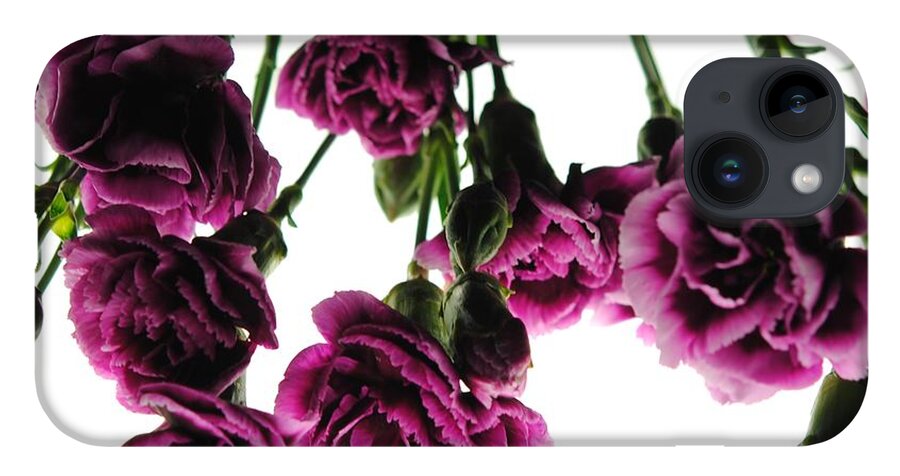 Pink Carnations on White - Phone Case